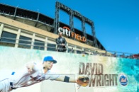 mets d_wright