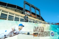 mets d_wright