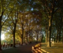 fort tryon park
