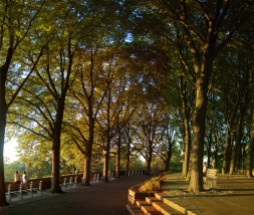 fort tryon park